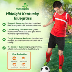 Outsidepride established midnight bluegrass lawn with rich color and density