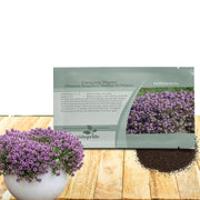 Outsidepride seed packet front view showing brand and seed count, easy identification benefit