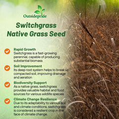Outsidepride root detail showing deep roots that stabilize soil
