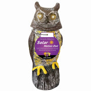 Owlsome front view garden sculpture showing lifelike pose and realistic detail