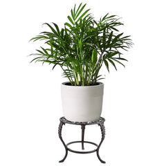 OwnMy plant stand top pattern detail highlighting decorative surface and pot support benefit