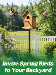 PAMASE side platform with hummingbird feeder attached for multi-feeder use