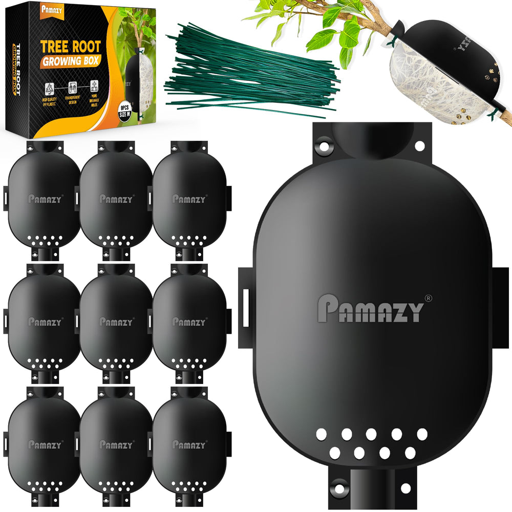 PAMAZY front view of rooting box showing full form and benefit of secure propagation