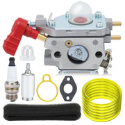Panari carburetor front view showing fitment and ready-to-install benefit