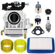 Panari carburetor front view showing fit and improved fuel stability