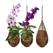 PANWA front view of handmade bamboo orchid basket showing rustic finish and form