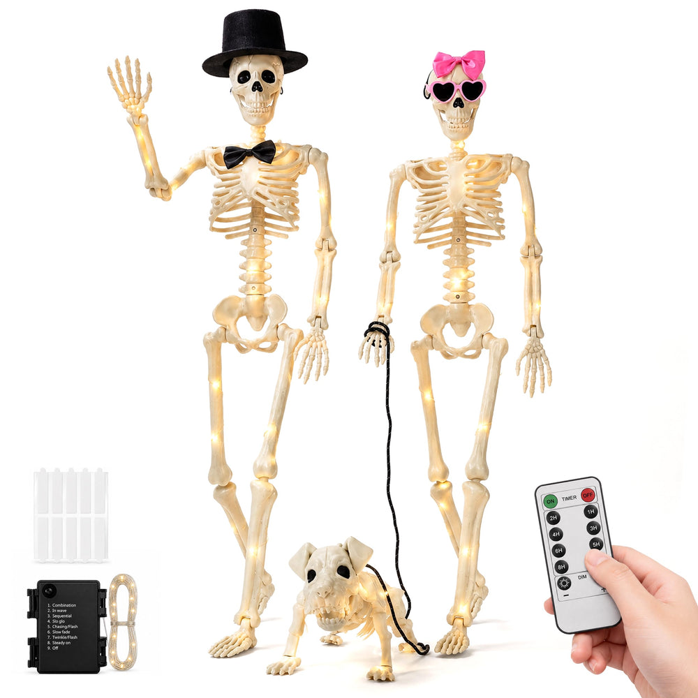 Parsin front display of skeleton family showing illuminated figures and curb appeal