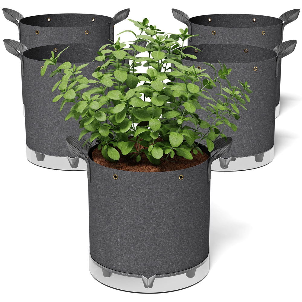 Patigrow front view of five-pack grow bags showing durable design and convenience