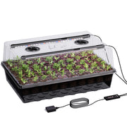 Patigrow front view of tray and dome showing organized seed rows and protective cover