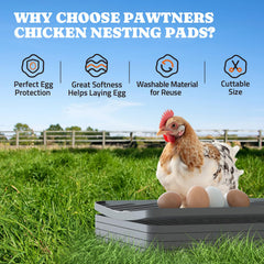 Pawtners pad installed in a chicken nesting box keeping bedding cleaner