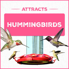 Pennington nectar pouring into a backyard hummingbird feeder for quick refills