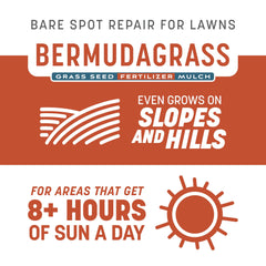 close-up of Pennington Bermudagrass and fescue seed for fast germination