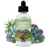 Perfect Plants front bottle label showing product name and benefit