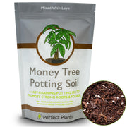 PERFECT PLANTS front packaging showing 2 qt bag and label for quick identification and storage