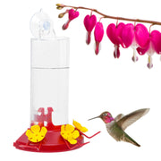 Perky-Pet front view on window showing clear view and easy birdwatching