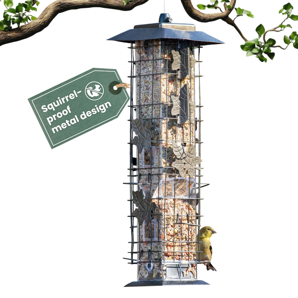Perky-Pet front view of feeder showing overall design and hanging loop benefit