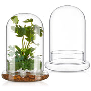Perthlin front view of two glass dome sets showing clear display and pairing benefit