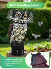 Pestvanish owl paint closeup highlighting waterproof finish and lasting color