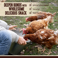 Pet Faves mealworms served in tray feeder attracting wild birds