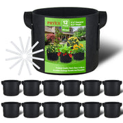 PHYEX front packaging view showing 12-pack and benefits