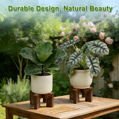 Phyluckny side angle assembled stand showing compact height and sturdiness