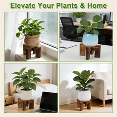 Phyluckny plant stand in living room display elevating a potted plant for style