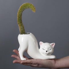 Picvelno tailless cat planter front view showing cute design and display benefit