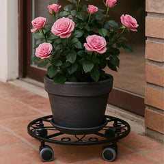 Planterhoma top view of clear saucer under pot, prevents drips and soil stains