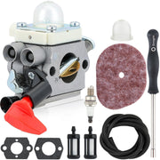 Powtol carburetor front view showing clean casting and ports, brand quality benefit