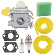 Powtol carburetor front view showing ports and mounting for easy replacement