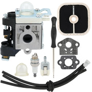 Powtol carburetor front view showing ports and mounting, quick replacement benefit