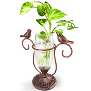 POXOHO front view on desk showing neat propagation and aesthetic benefit