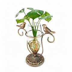 POXOHO front view on desk showing elegant propagation and compact design benefit