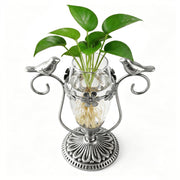 POXOHO front view showing vintage hummingbird hydroponic vase and clear tubes for easy display