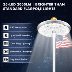 PPQ close-up of 25 LED array and lenses delivering focused, high-brightness output