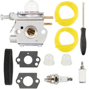 Pro Chaser RUIXING carburetor front view showing clean casting and mounting points for correct fit