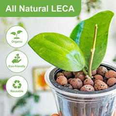Pulovin clay pebbles in a planter demonstrating improved drainage for healthier houseplants