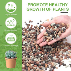 Pulovin used as top dressing on succulents for neat appearance
