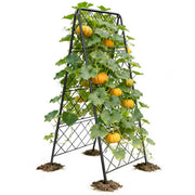 PyraLine front A-frame trellis showing sturdy frame and support benefit