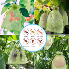 QenFree bagged apple on tree illustrating pest protection benefit