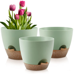 QRRICA front view of three green planters showing modern finish and matching saucers, stylish decor benefit