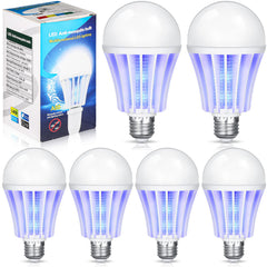 Qualirey front packaging showing six bulbs and included boxes for easy selection
