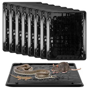 Qualirey front packaging showing eight jumbo glue traps for quick deployment