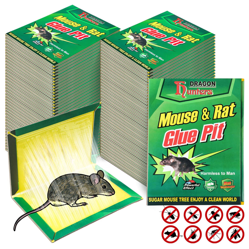 Qualirey front packaging showing 48-pack large glue traps and quick identification benefit