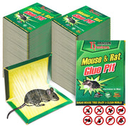 Qualirey front packaging showing 48-pack large glue traps and quick identification benefit