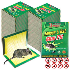 Qualirey front packaging showing 48-pack large glue traps and quick identification benefit