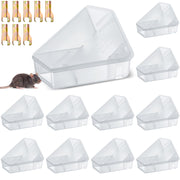 Qualirey translucent front view showing secure bait containment and easy inspection