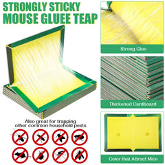 Qualirey folded trap in U shape fitted in a corner for concealed, safe placement