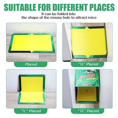 Qualirey glue pad placed under sink showing discreet pest control benefit