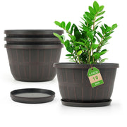 Quarut 10 inch front view showing four-pack and decorative look for versatile display